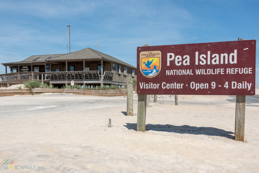 Pea Island Wildlife Refuge