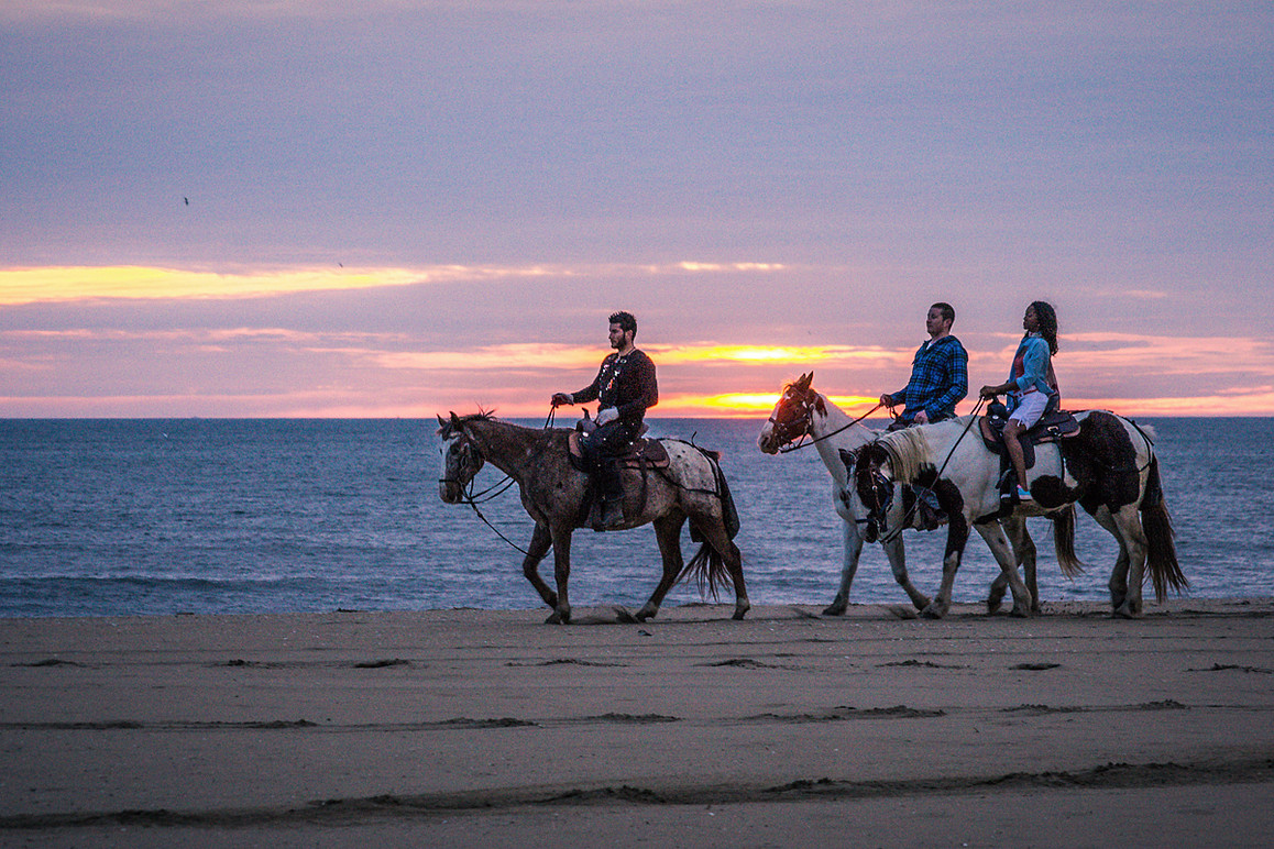 Outer Banks (OBX) Horseback