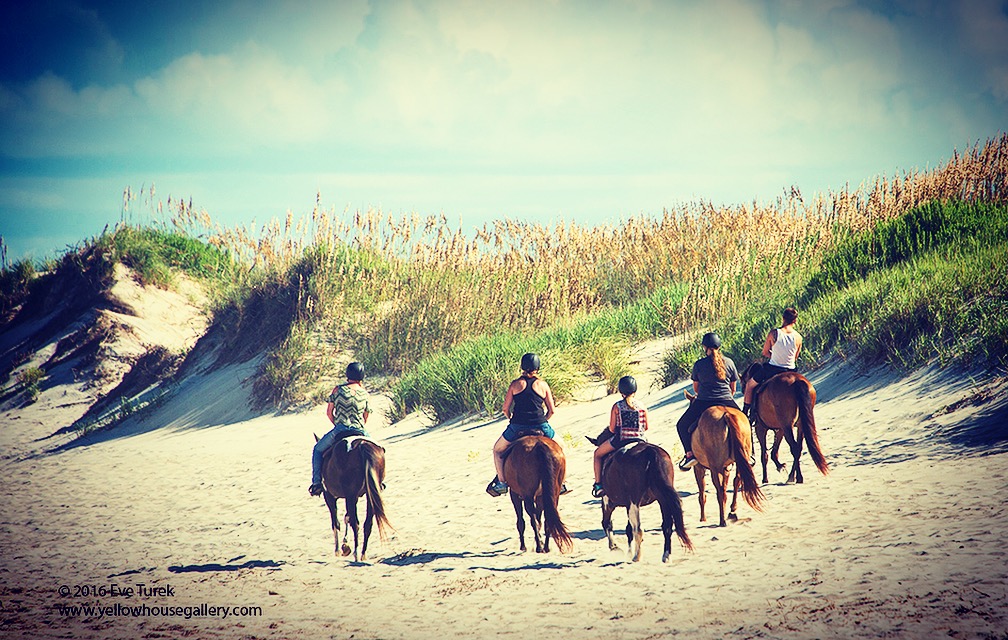 Outer Banks (OBX) Horseback