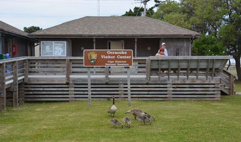 Ocracoke Island Visitor Center with geese on the front lawn