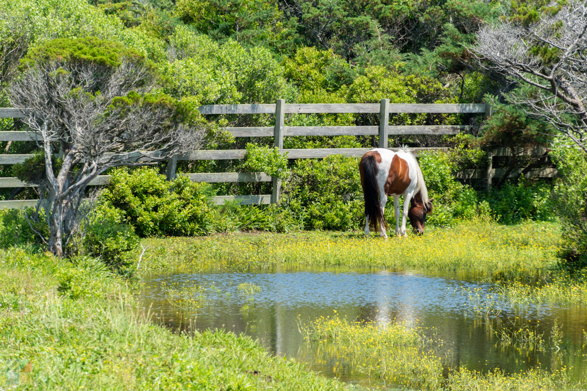 Ocracoke Island NC