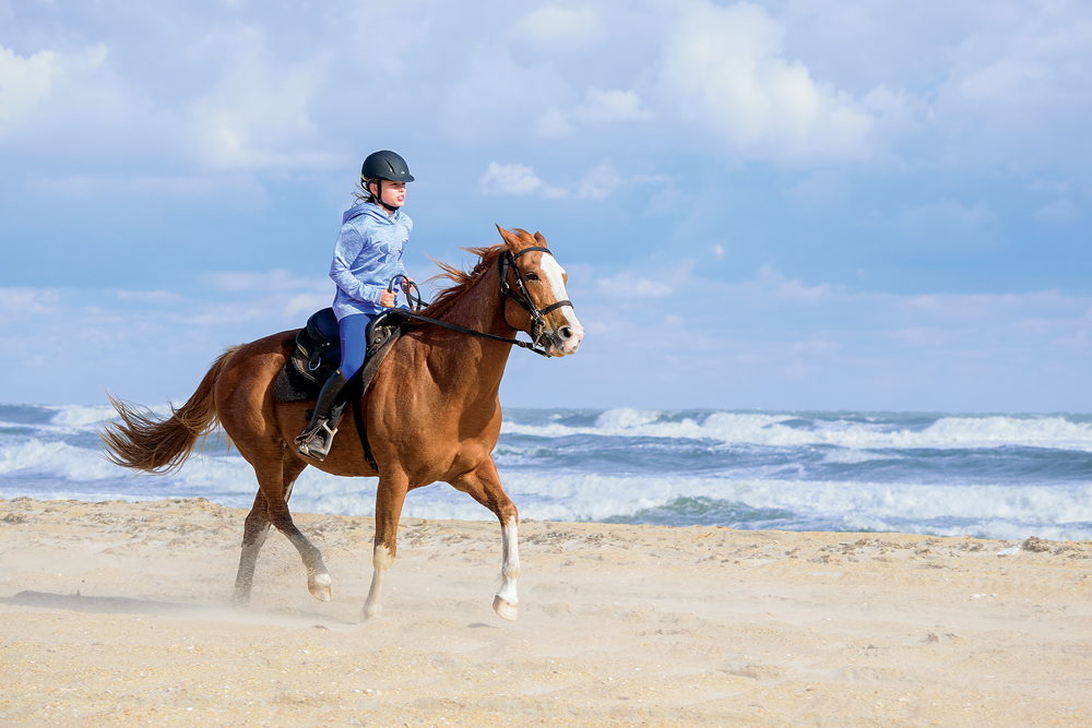 Equine Adventures horseback beach tour