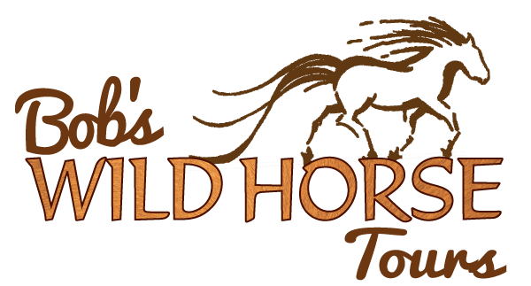 Bob's Wild Horse Adventure Tours
