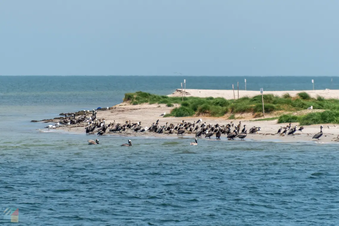 Link to Ocracoke-NC.com