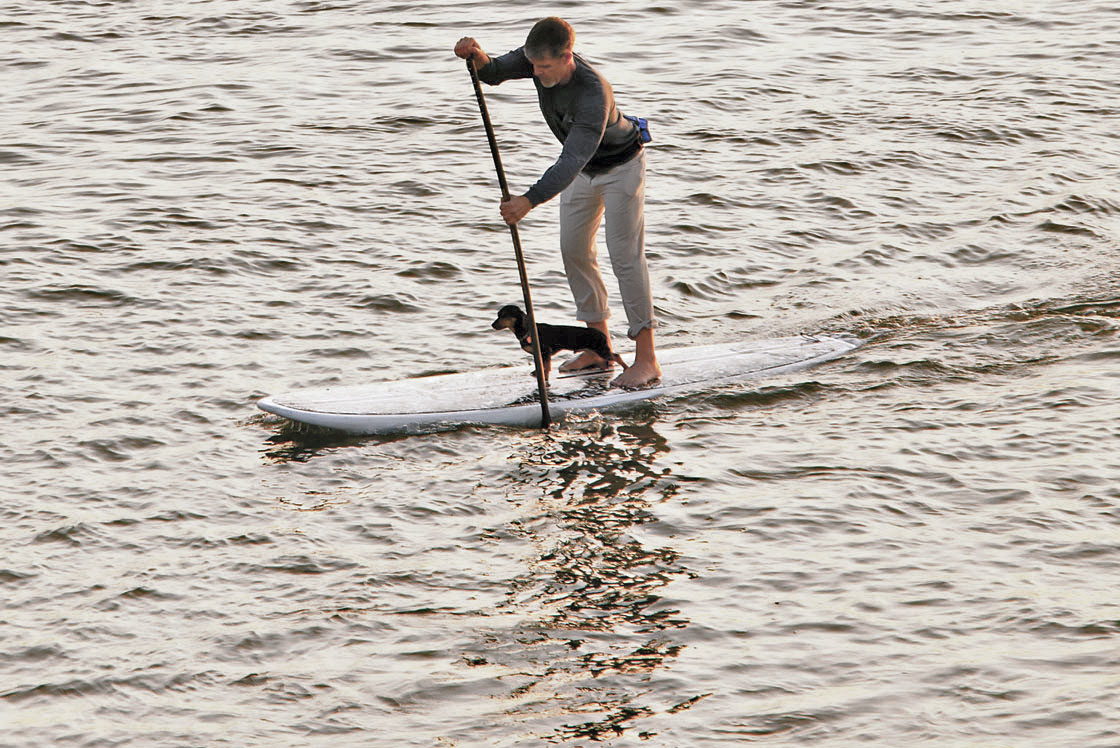 Stand-Up Paddle Boarding (SUP)